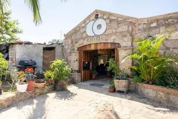 Capital O Hotel Posada Terraza, Tequila Jalisco