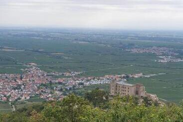 צימר Weinhaus Paradies