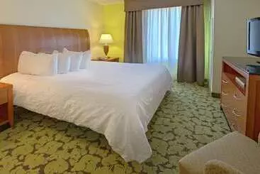 Otel Hilton Garden Inn Huntsville/space Center