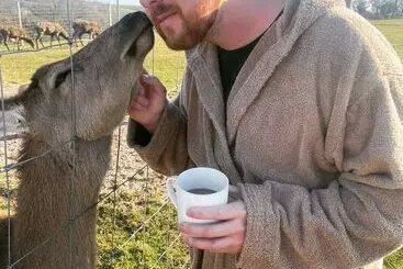 Gîte Rural Luxury Safari Lodge Surrounded By Deer!!  Roe