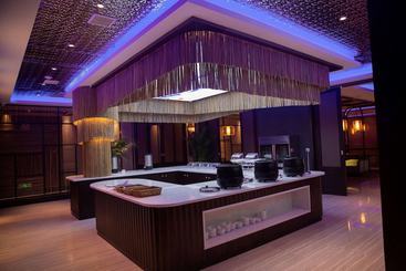 Hotel Ramada Plaza By Wyndham Yiyang Nanxian