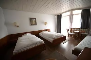 ペンション Landhotel Hirsch