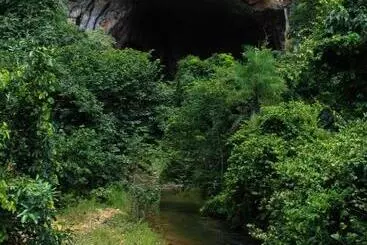 ペンション Pousada Sertão Veredas