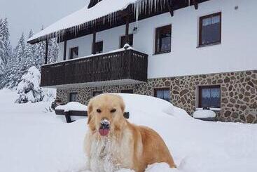 Pension Helena Honesová