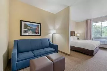 בית מלון כפרי Comfort Suites Lake Geneva East