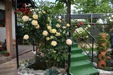 Pension Vila Maricris