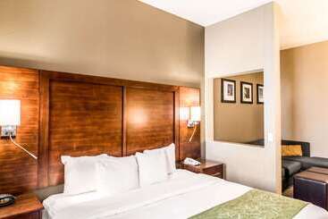 فندق Comfort Suites South