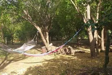 Aamiaismajoitus (B&B) Nasu Lodge