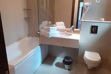 Hotel Pensiunea Constantin