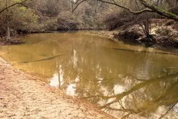 Aamiaismajoitus (B&B) The Meadow Cabin