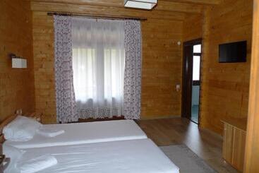 Pensiunea Mihaiu Sasului