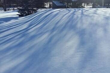 Harlem Stonegate B&b