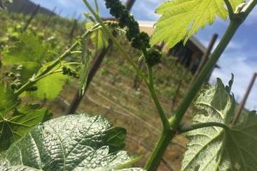 Отель Cabañas Rancho Palos Verdes