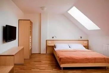 ペンション Davidův Mlýn