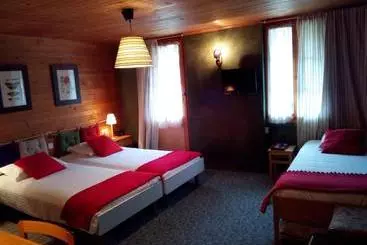 Hotel Des Alpes