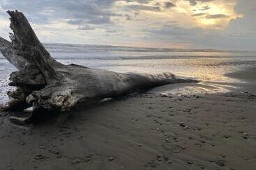 هتل Boutique Rooms At La Junta