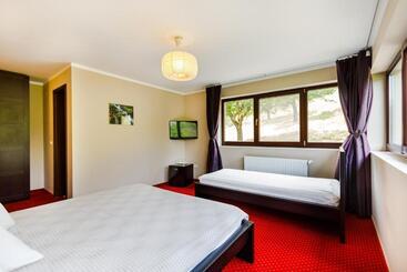 Pensiunea Decebal Resort   Cazanele Dunarii