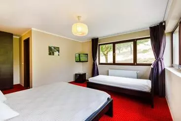 Pensiunea Decebal Resort   Cazanele Dunarii