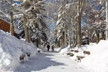 Hotelli Chateau Aspen