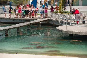 Holiday Inn Resort Grand Cayman, An Ihg