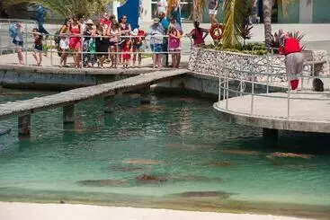 Holiday Inn Resort Grand Cayman, An Ihg