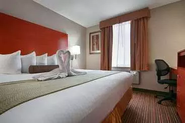 فندق Best Western Jfk Airport