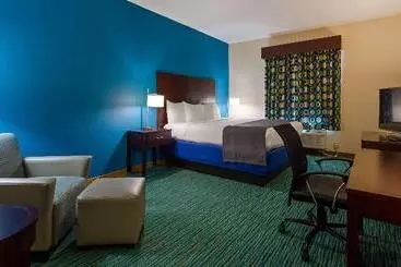 Szálloda Best Western Wesley Chapel