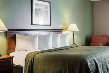Hotel Quality Inn & Suites Tampa Ybor City