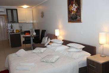 ツーリストアパートメント Apartments Lavica Beach Dumičić