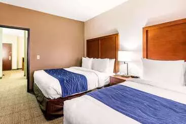 Otel Comfort Inn & Suites Iah Bush Airport – East