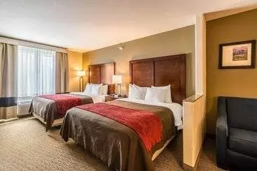 Отель Comfort Inn & Suites