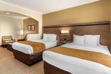 호텔 Comfort Suites Baytown I   10