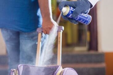 Hotel Ramana Residency