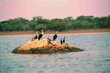 Hotel Chaminuka Lodge And Nature Reserve