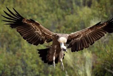 Сельский дом Palacio Viejo De Las Corchuelas