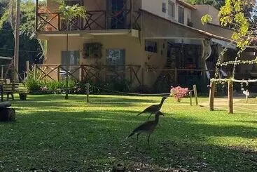 ペンション Pousada Do Bosque