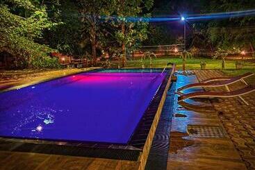 فندق صغير Birds Paradise Inn