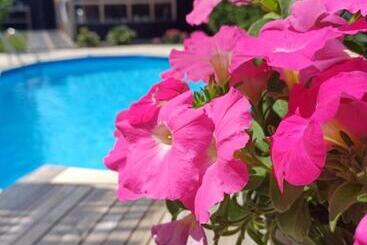 East Meets West Bed And Breakfast