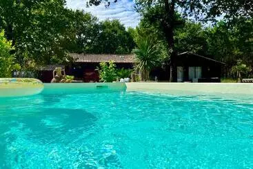 Bed and Breakfast Hacienda De La Canopée Avec Piscine Chauffée Au Sel