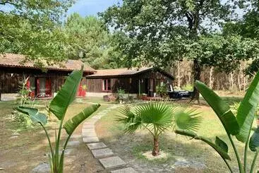 Aamiaismajoitus (B&B) Hacienda De La Canopée Avec Piscine Chauffée Au Sel