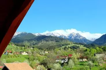 Pensiune Milea S Guesthouse