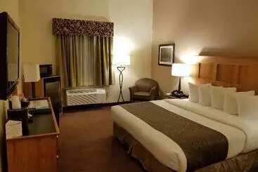 酒店 Best Western Brighton Inn