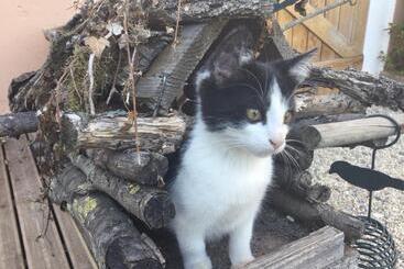 ペンション Le Cottage Normand