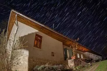 Majatalo Hungry Grape Guests