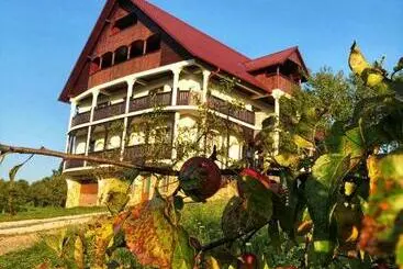 ペンション Conacul Lupilor