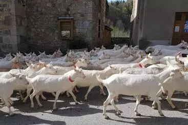 Pensión Domaine Sela