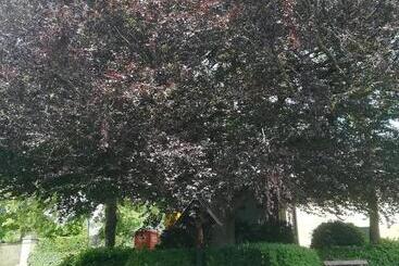 B&b Liberation Margraten