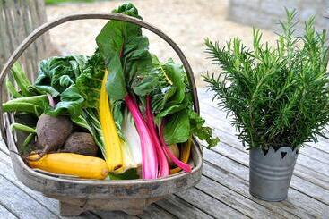 Bed and Breakfast Middle Farm House