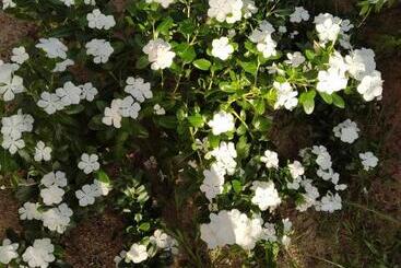 Pensão Khum Thong Resort