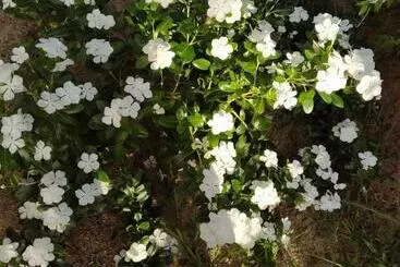 Majatalo Khum Thong Resort